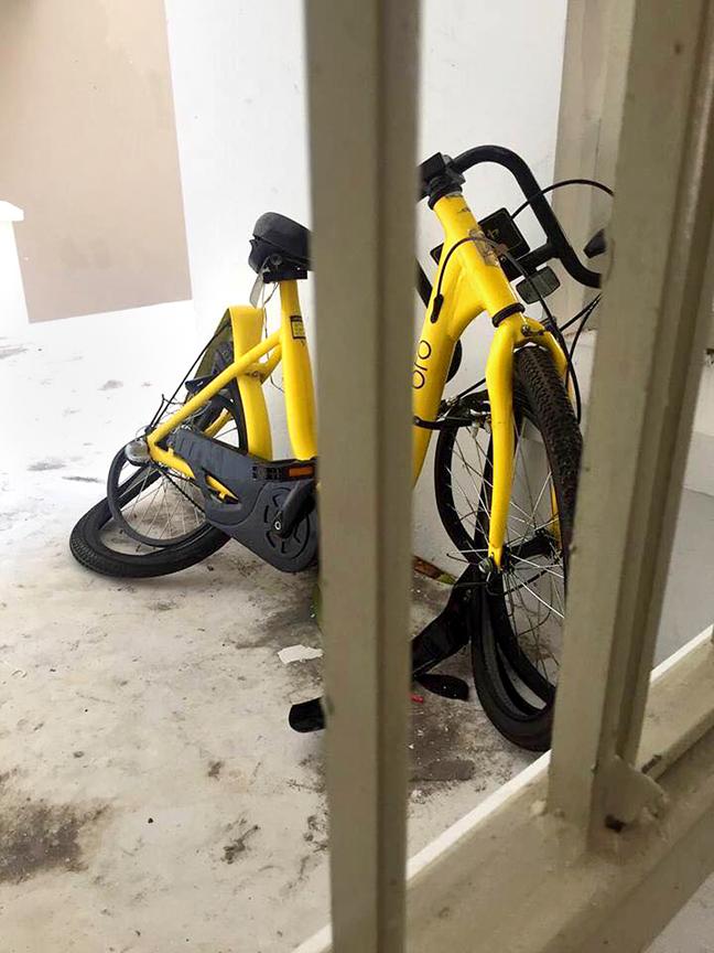 ofo bike thrown from HDB