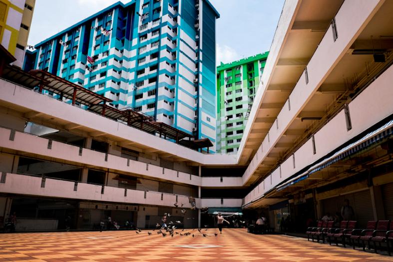 A coffee shop assistant chasing a flock of pigeons at the central concourse in Rochor Centre