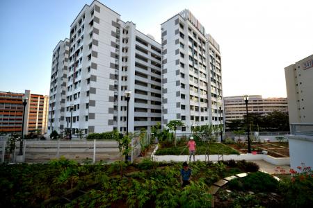 The Sky Garden @ Jurong Central at the sixth floor of a multi-storey car park at Jurong East Street 32 is tended by more than 60 volunteers.