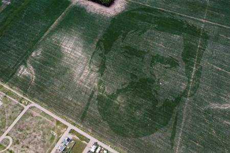 Argentine corn field planted with face of World Cup winner Messi