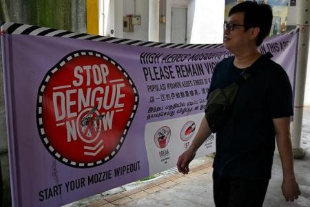 Resurgence of previously dominant dengue virus strain could lead to surge in cases: NEA  