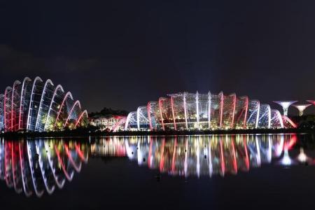 Gardens by the Bay celebrates12th birthday and TripAdvisor win