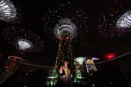 Gardens by the Bay celebrates12th birthday and TripAdvisor win