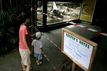 Animals that escaped their homes at the Singapore Zoo