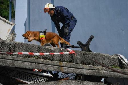 SCDF search dog barks when she finds a survivor, whimpers when it's a corpse