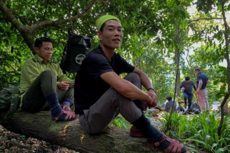 Illegal loggers in Vietnam train as jungle tour guides