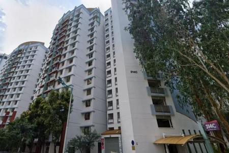 Authorities flag $2m HDB flat listings, including misleading ad for jumbo unit in Sengkang