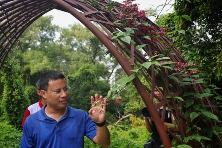 Bidadari has a freshwater lake that can prevent flash floods