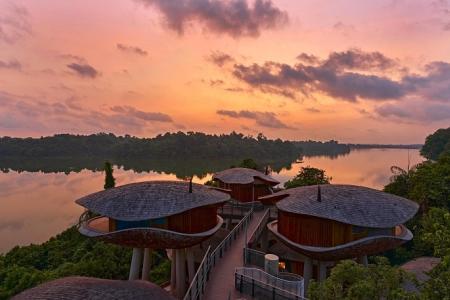 Mandai Rainforest Resort to open in April 2025