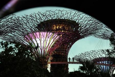 Gardens by the Bay is Tripadvisor's eighth-best attraction 
