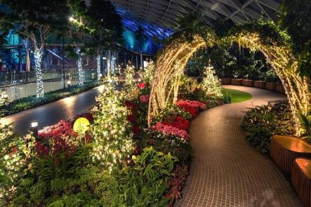 Jewel Changi Airport launches Super Mario-themed event for year-end holiday season