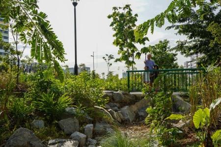 Tampines Boulevard Park joins list of green spots 