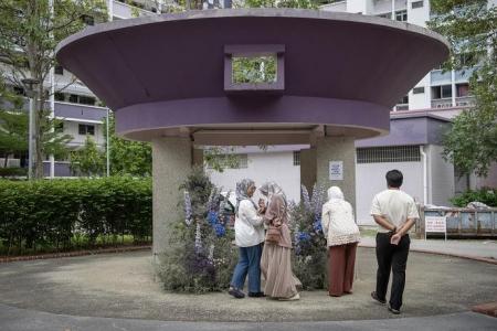 ‘Flower bomb’ draws admirers to Pasir Ris pavilion