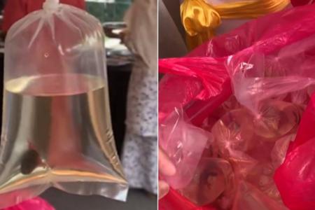 Fighting fish door gifts at Malaysia wedding spark debate