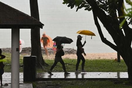 Don't leave home without a brolly