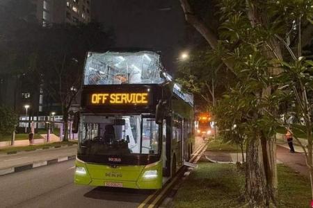 54-year-old man injured after SBS Transit bus crashes into tree in Bishan and gets top ripped off