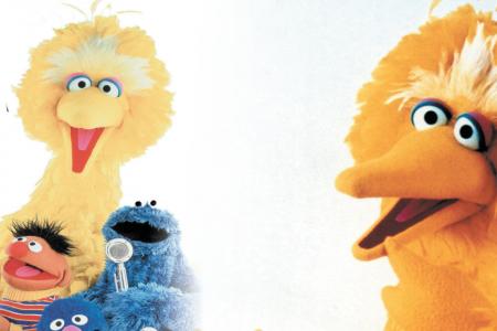 Big Bird actor made a dying boy's last day one of his happiest