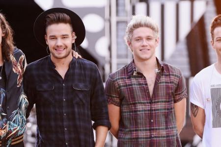 What could One Direction be planning to do during their hiatus?