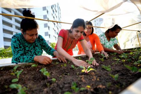 The Sky Garden @ Jurong Central at the sixth floor of a multi-storey car park at Jurong East Street 32 is tended by more than 60 volunteers. 