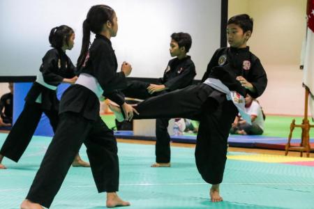 Four-pillar plan to take silat forward