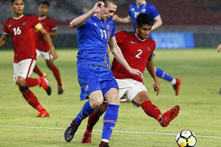 Iceland insist Russia 2018 won&#039;t be a holiday