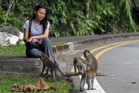 Childhood pet leads to primatology calling