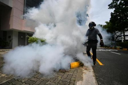 Dengue cases rising sharply, NEA calls for 'urgent collective community effort' to fight rise