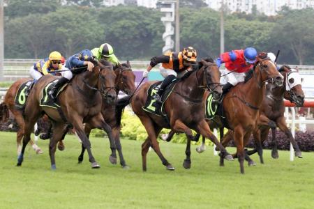 Singapore Guineas duo go great guns