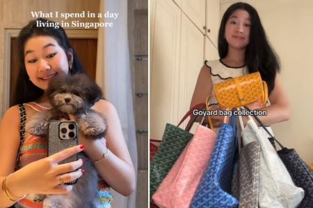 ‘Stay-at-home daughter’ shows off luxury bags, lavish trips on TikTok