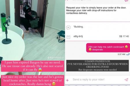 Woman appeals to Foodpanda rider to help catch cockroach in flat