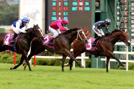 Meagher locks in Derby after Stewards' Cup win