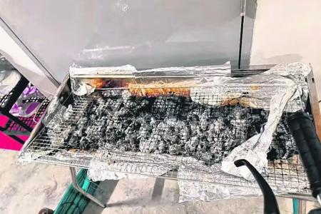 Resident fumes over neighbour's BBQ party in HDB corridor