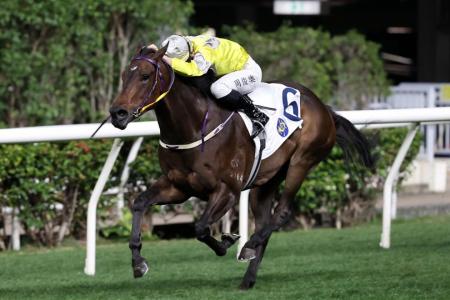 Sept 11 Hong Kong (Happy Valley) form analysis