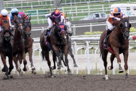 Ness we forget last 7 Years at Kranji: Logan