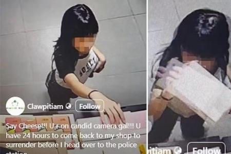 Teen girl allegedly swipes rare Labubu from Plaza Singapura