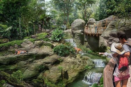 Rainforest Wild Asia set to open in March 2025