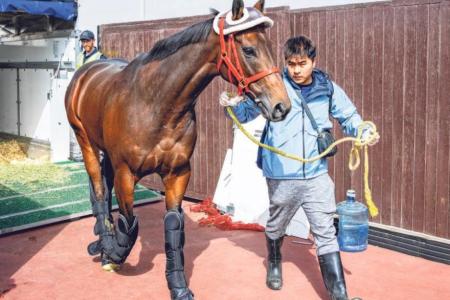 Romantic Warrior Arrives in Dubai