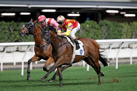 Dec 26 Hong Kong (Happy Valley) form analysis