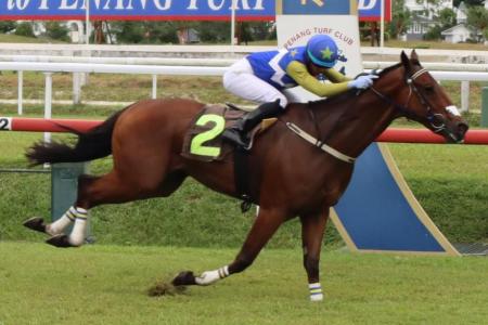 Lucky Magic wins Penang Gold