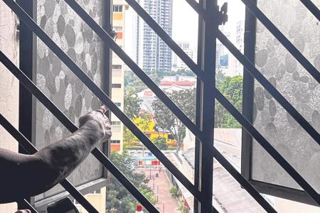 Clementi residents lose sleep as neighbour howls into the night