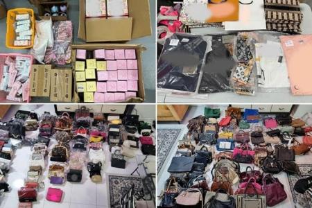 Police seize more than $530,000 worth of counterfeit goods