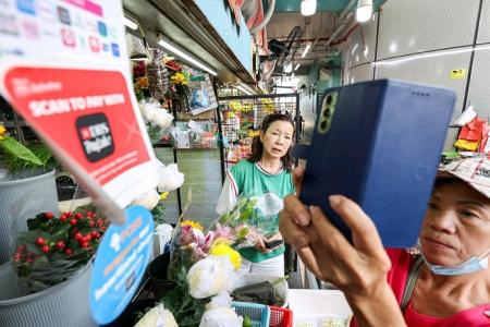 Earnings boost for heartland merchants from PayLah cashback 