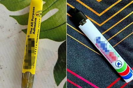 Website selling vapes disguised as stationery blocked 