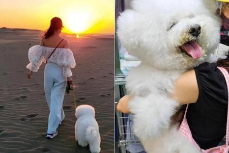 Jolin Tsai mourns death of her dog Woohoo