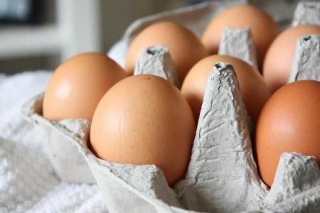 Egg importer fined for failing to obtain SFA certification