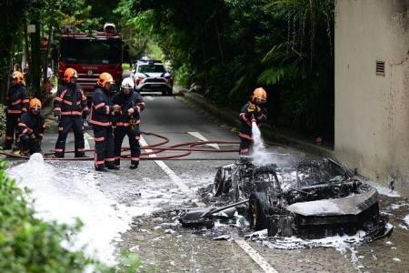 Carpark at Botanic Gardens closed after car catches fire; no injuries reported