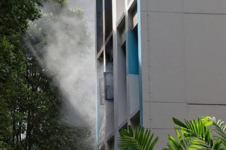 2 killed in fire in Hougang