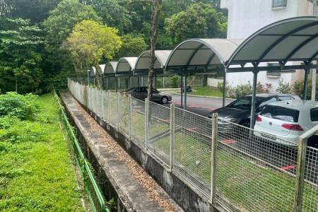 PhD student was drunk when he scaled fence in Pasir Panjang