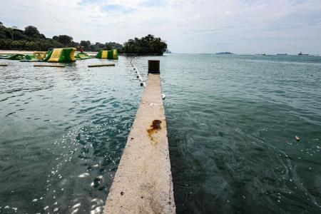 No sign of oil at Sentosa beaches, waters near desalination plants 