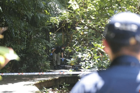 Man, allegedly armed, shot by police  in Pasir Ris Park 